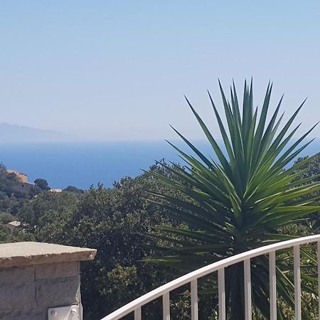 Bas De Villa Chez Mr.Girolami Dominique Bastia  Eksteriør bilde