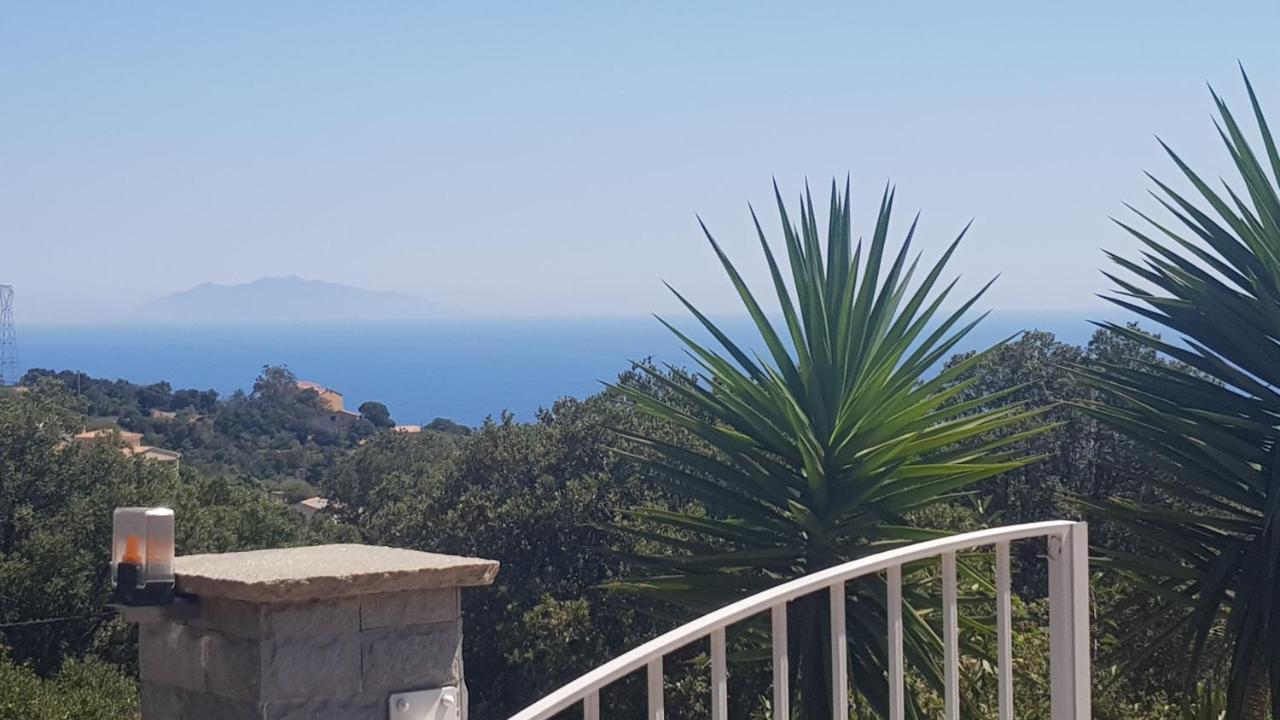 Bas De Villa Chez Mr.Girolami Dominique Bastia  Eksteriør bilde