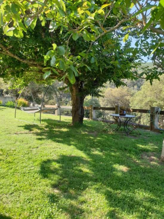 Bas De Villa Chez Mr.Girolami Dominique Bastia  Eksteriør bilde