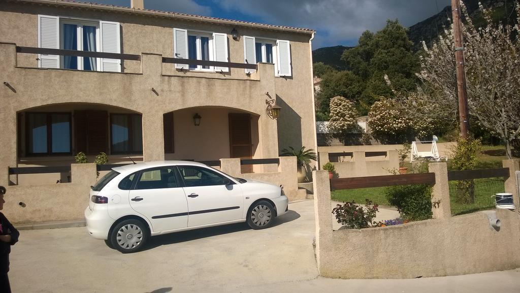 Bas De Villa Chez Mr.Girolami Dominique Bastia  Eksteriør bilde